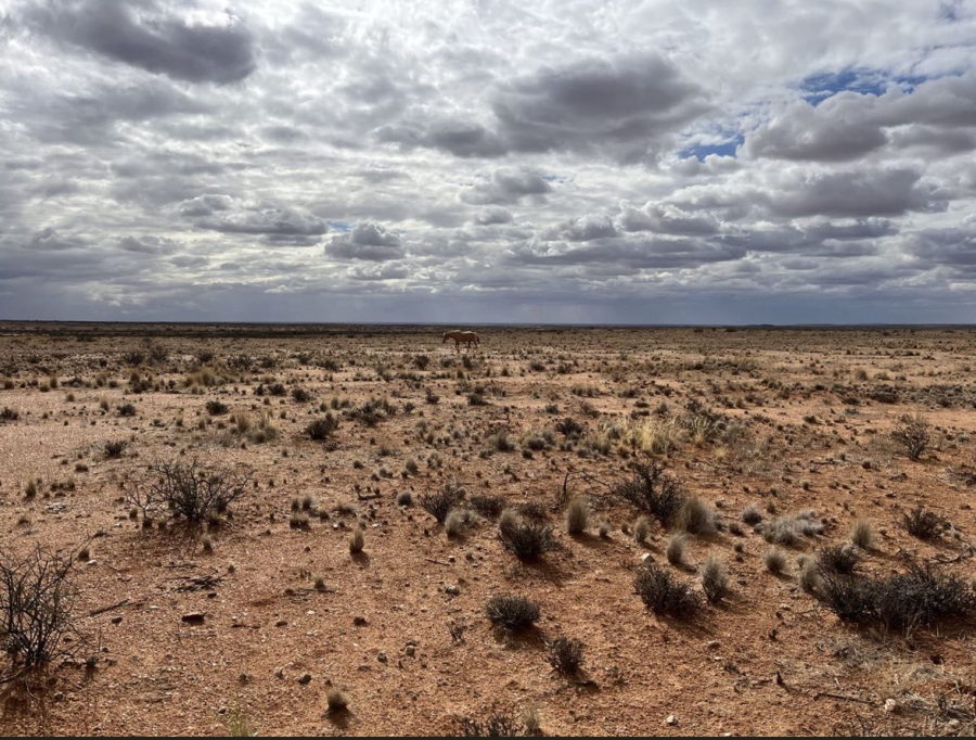 1 Bedroom Property for Sale in Kenhardt Northern Cape